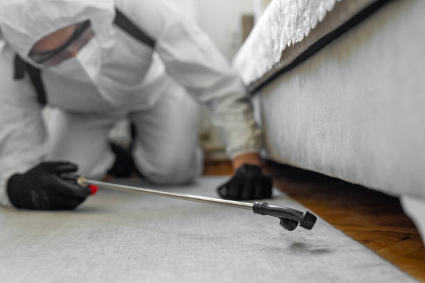 Professional Termite Control technician working in Natchitoches, LA