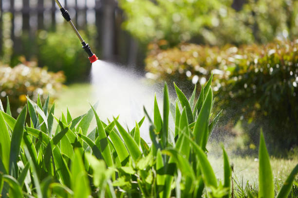 24/7 Emergency Termite Control experts in Natchitoches, LA