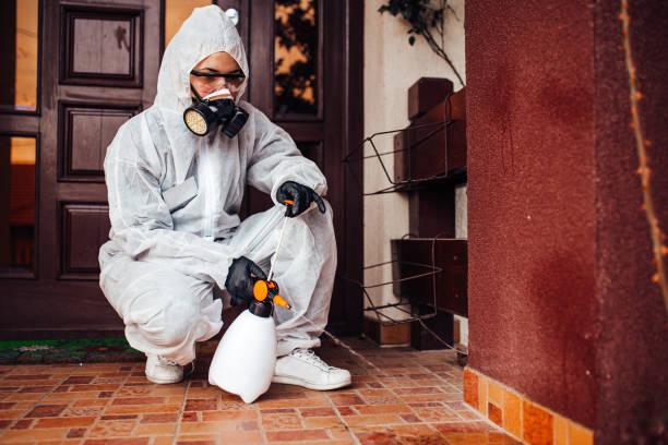 Reliable Termite Control contractor in Natchitoches, LA by Nex Pest Control